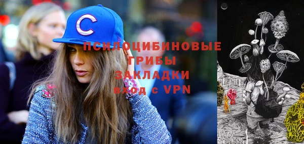 ГАЛЛЮЦИНОГЕННЫЕ ГРИБЫ Балахна