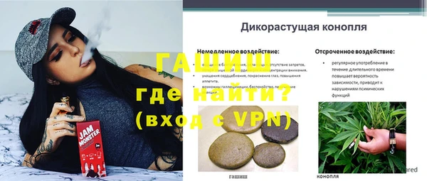 стафф Баксан